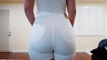 bendolopanaal uit Zuid-Holland,Nederland